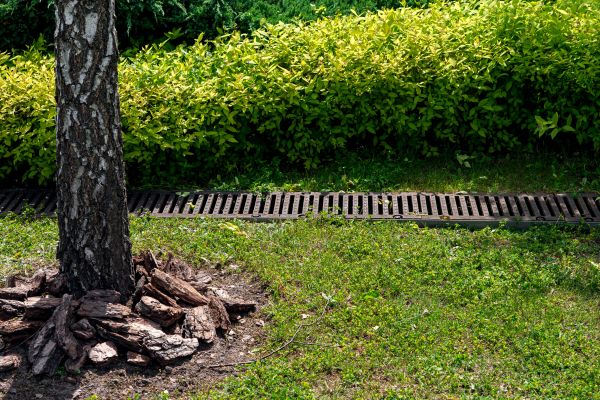 Cost of Wet Yard Drainage in Grand Junction