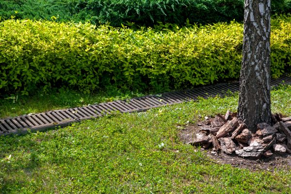 Cost of Residential Landscape Drainage in Grand Junction