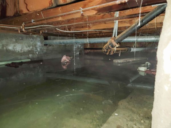 Cost of Crawlspace Drainage in Grand Junction